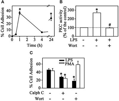 LPS Induces mTORC1 and mTORC2 Activation During Monocyte Adhesion